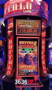 3636 bet plataforma